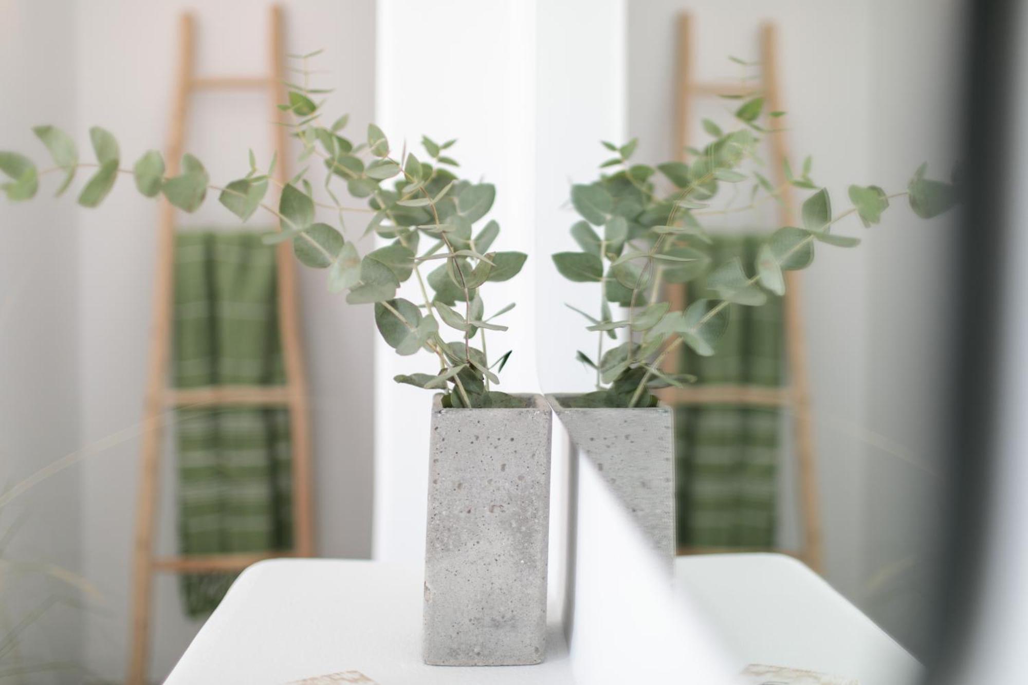 Anamnesia Boutique Apartments Naxos Town Naxos City Екстер'єр фото